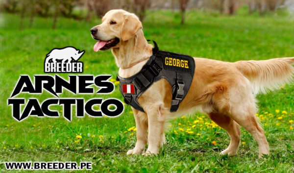 ARNÉS TÁCTICO CLASSIC - Imagen 4