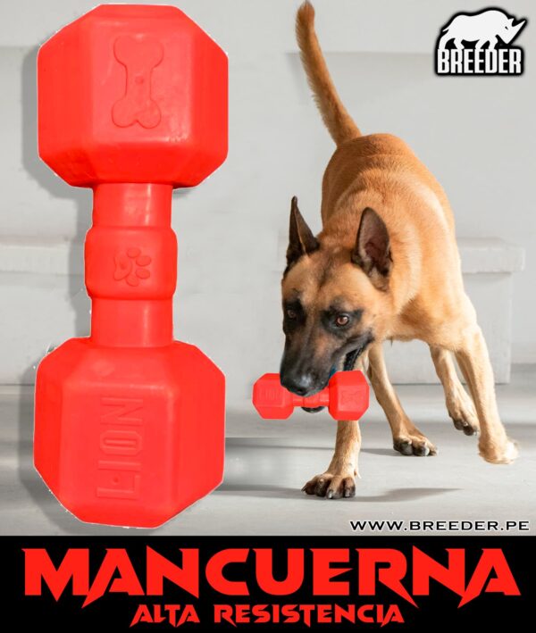 MANCUERNA CANINA