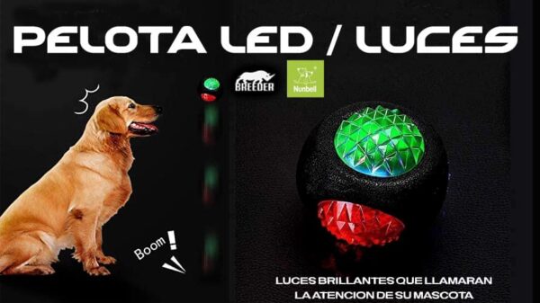 LA PELOTA LED