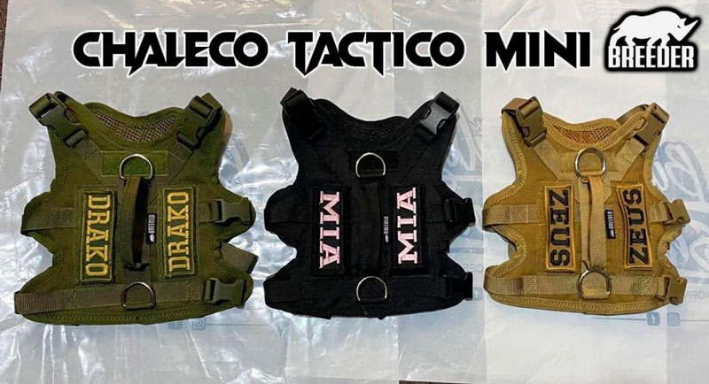 CHALECO GATO - Imagen 4
