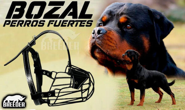 BOZAL CANASTILLA DE METAL