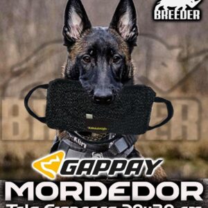MORDEDOR - COJIN 3 ASAS GAPPAY