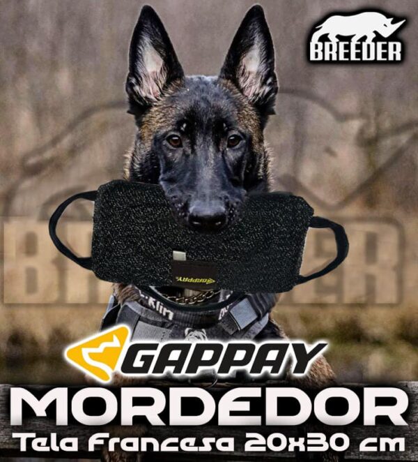 MORDEDOR - COJIN 3 ASAS GAPPAY