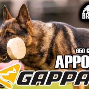 APPORT  GAPPAY  650 GR - 250 GR