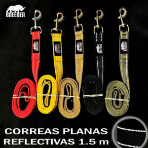 CORREA REFLECTIVA