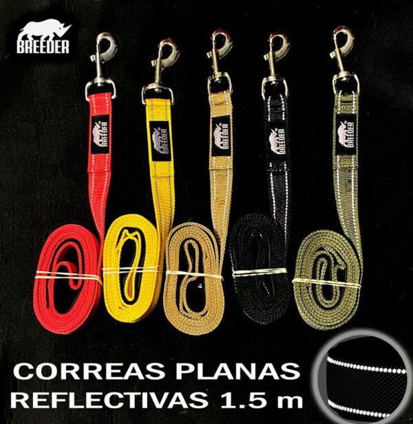 CORREA REFLECTIVA